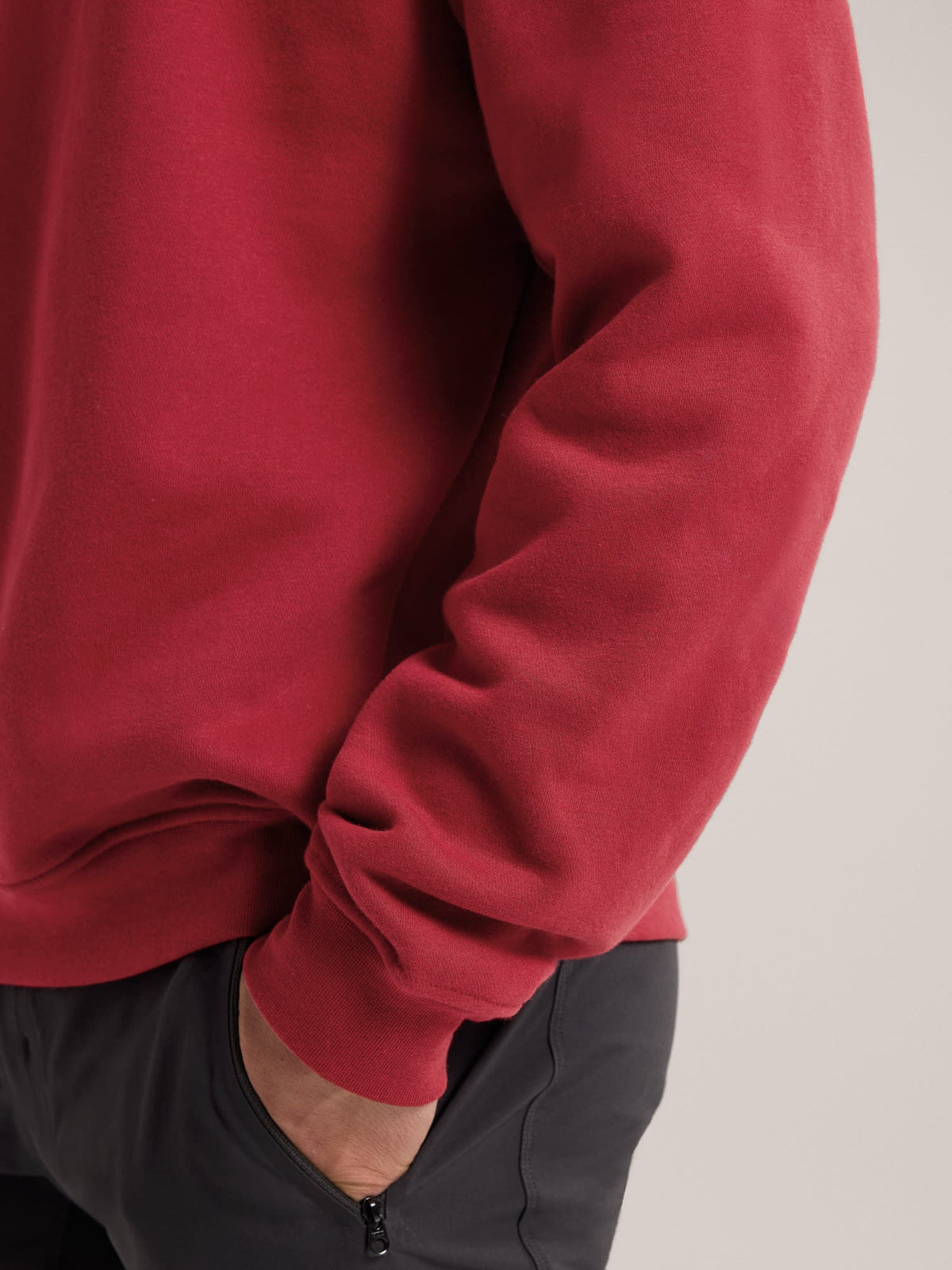 Emblem Fleece Crew Neck Pullover Men's