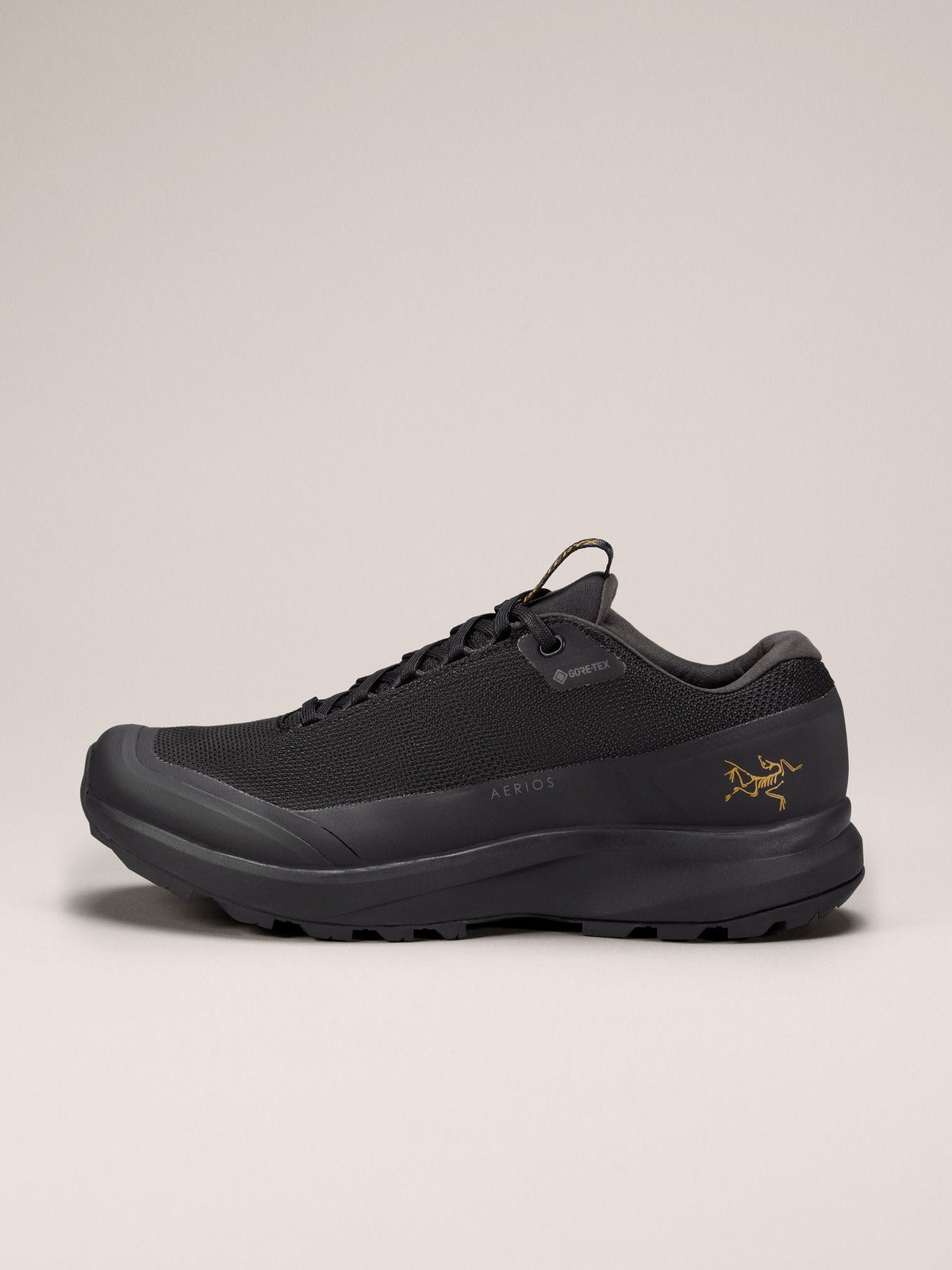 Aerios FL 2 GTX Shoe Women's