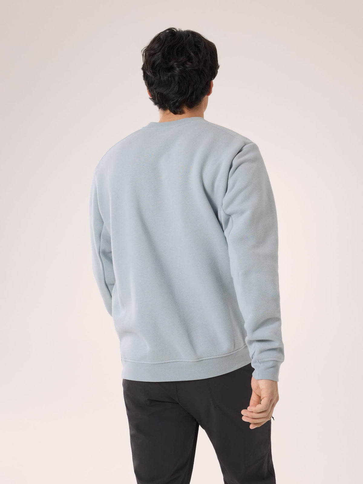 Emblem Fleece Crew Neck Pullover Men's