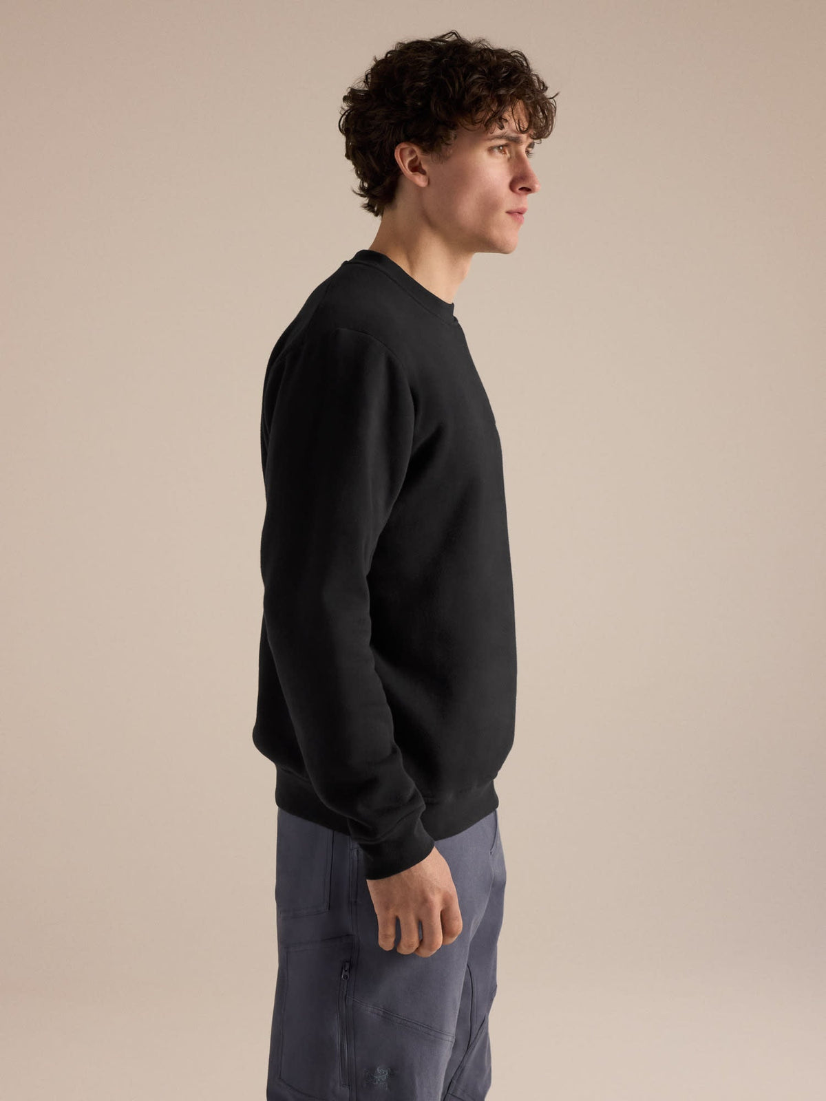 Emblem Fleece Crew Neck Pullover Men's