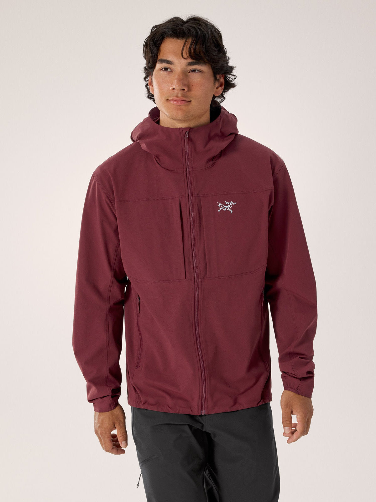 Gamma Hoody Men's