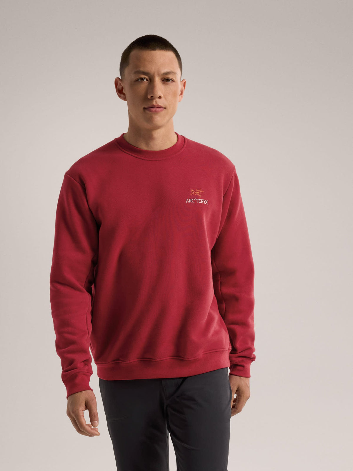 Emblem Fleece Crew Neck Pullover Men's