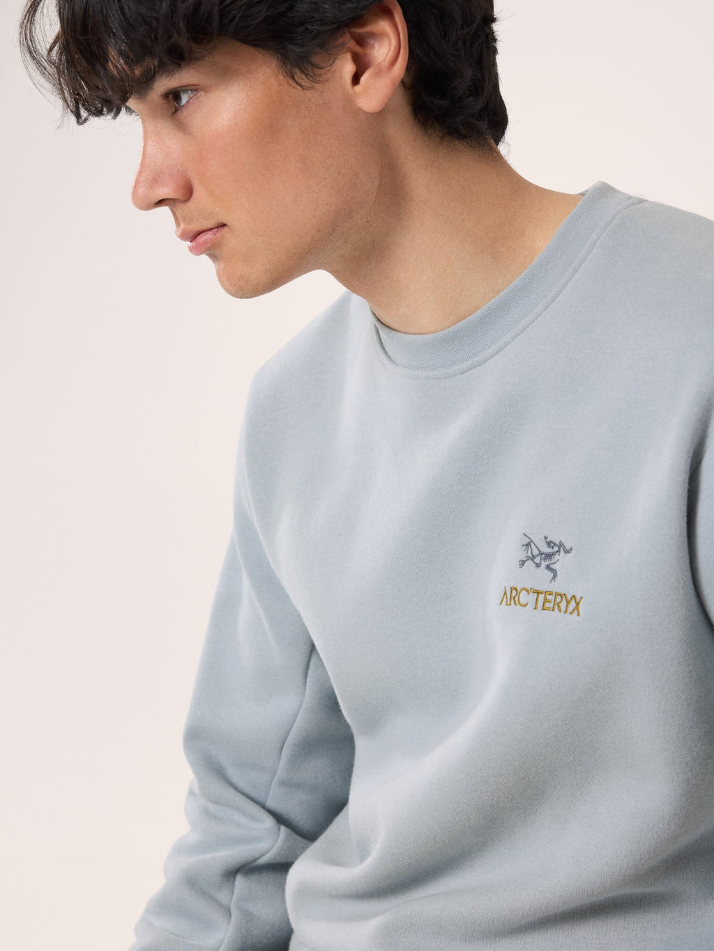 Emblem Fleece Crew Neck Pullover Men's
