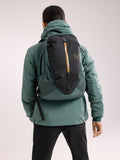 Arro 16 Backpack
