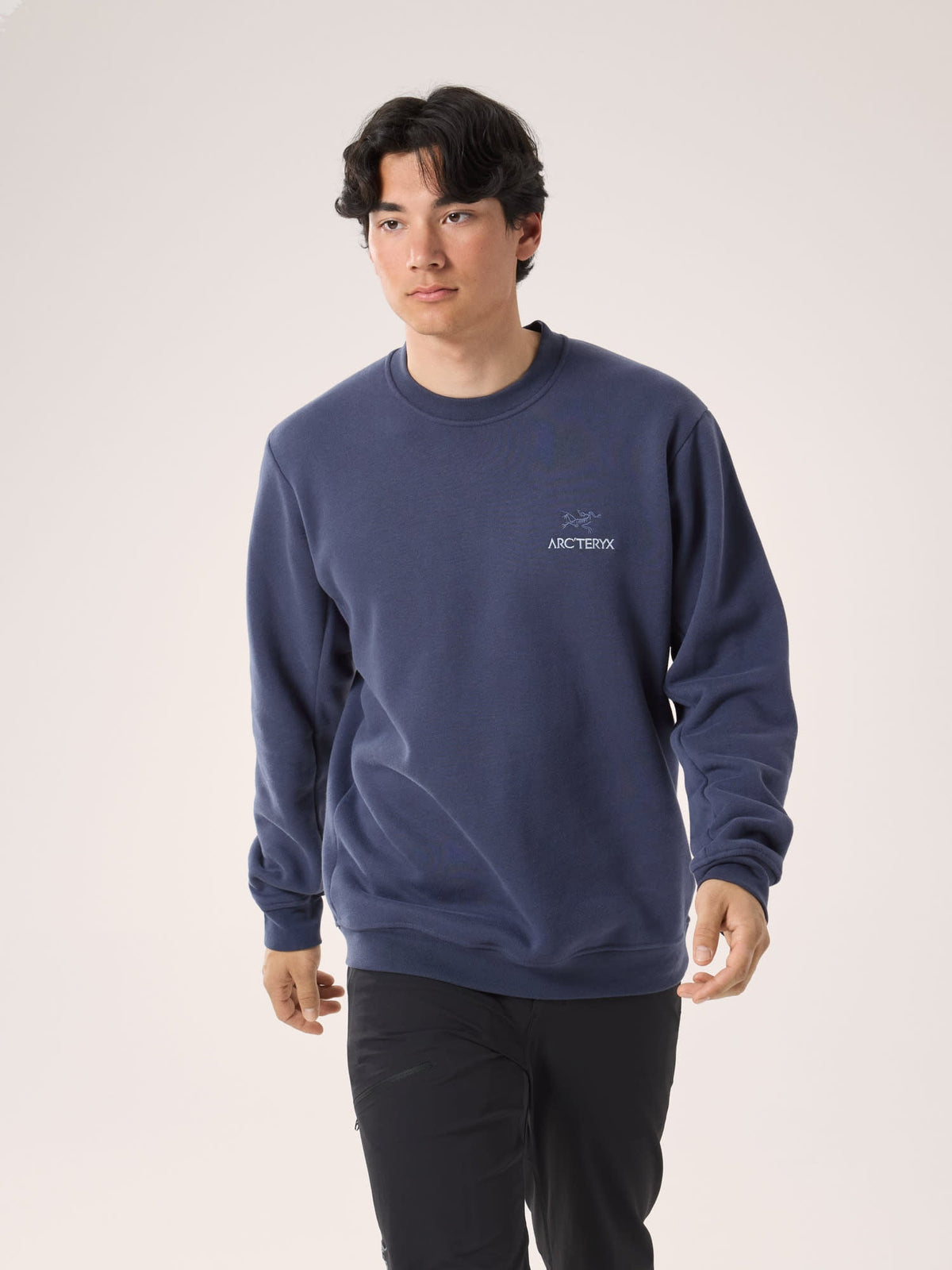 Emblem Fleece Crew Neck Pullover Men's