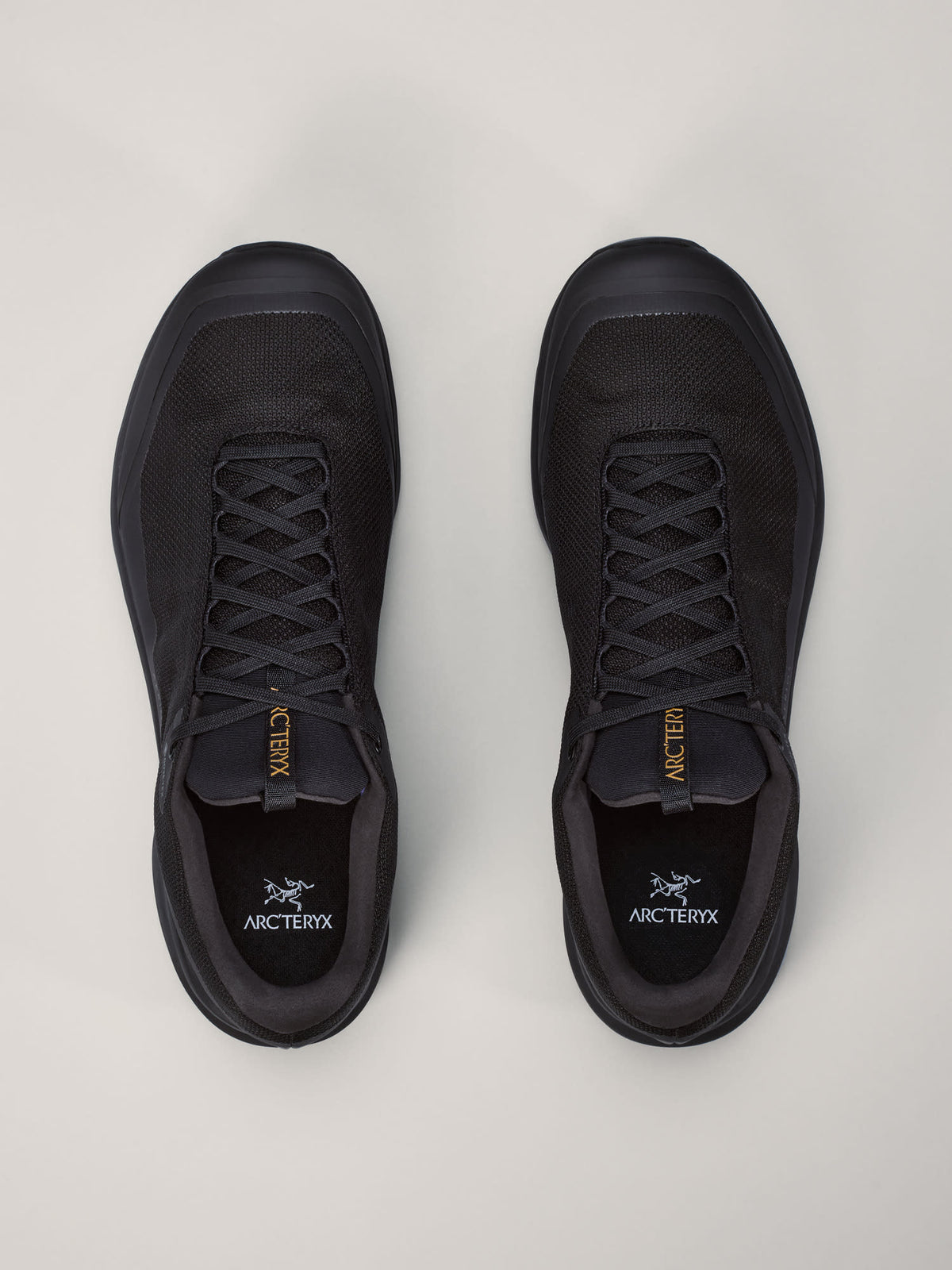 Aerios FL 2 GTX Shoe Men's