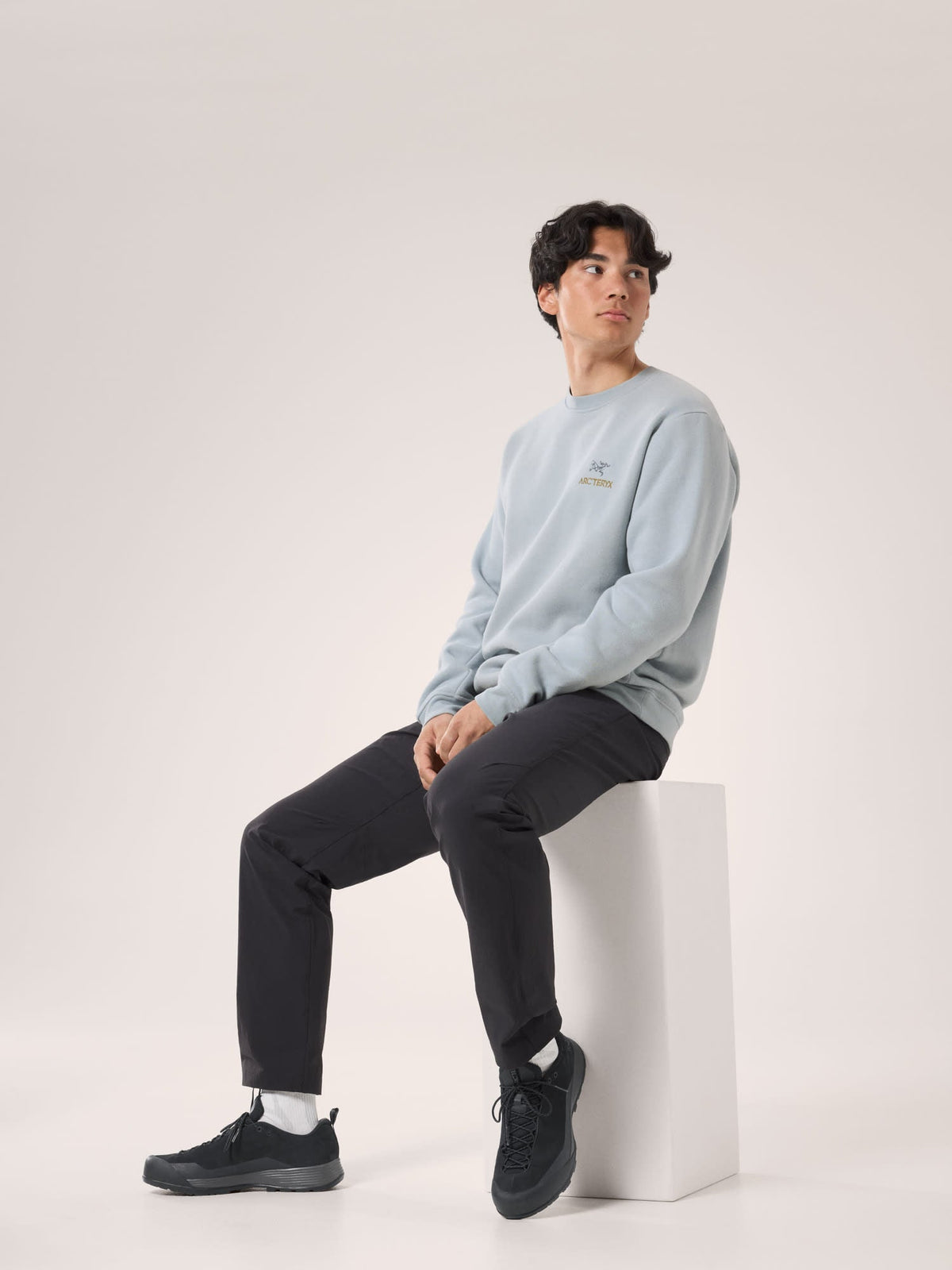 Emblem Fleece Crew Neck Pullover Men's